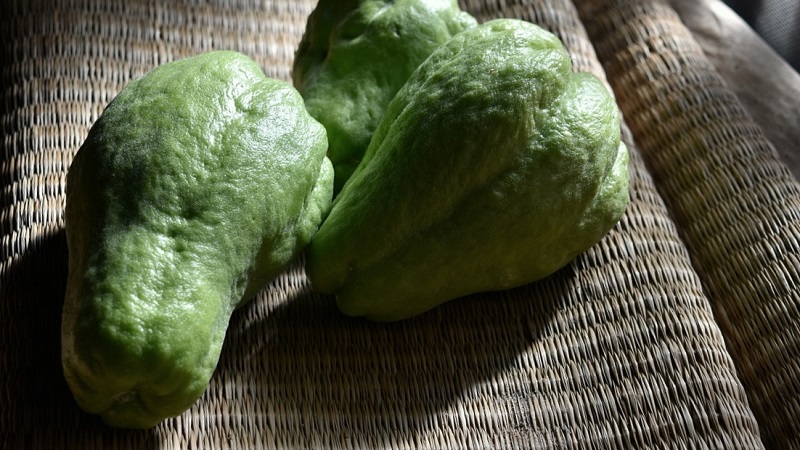 Beneficios del chayote en una Receta