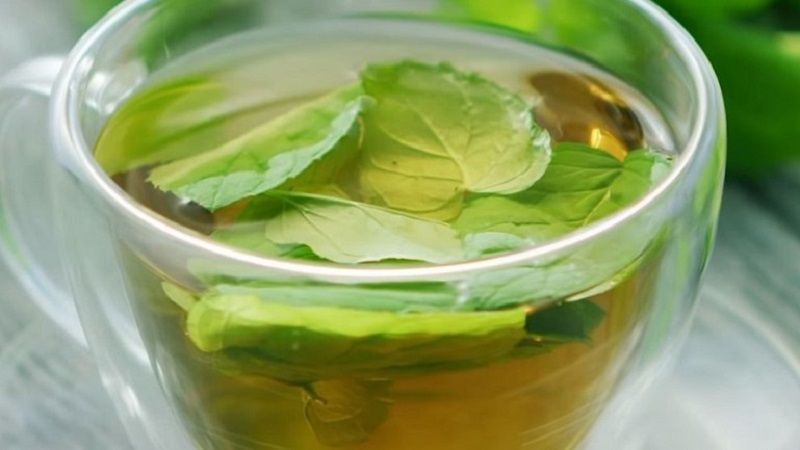 Receta de té verde para bajar de peso